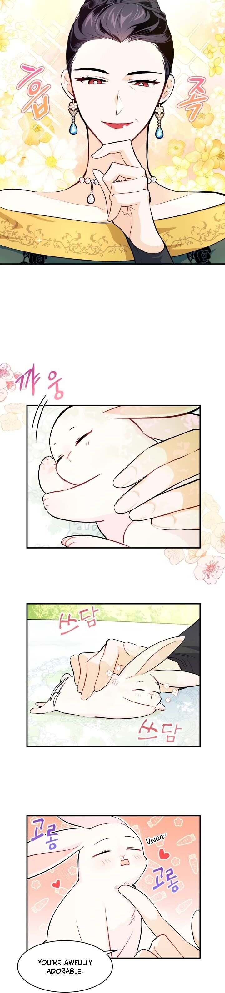 The Symbiotic Relationship Between the Rabbit and the Black Panther Chapter 5 101 7