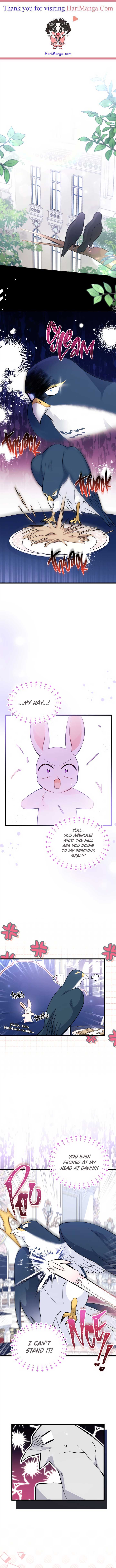 The Symbiotic Relationship Between the Rabbit and the Black Panther Chapter 55 47 0