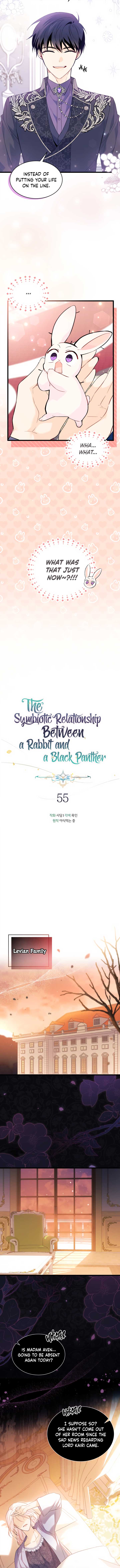 The Symbiotic Relationship Between the Rabbit and the Black Panther Chapter 55 51 4