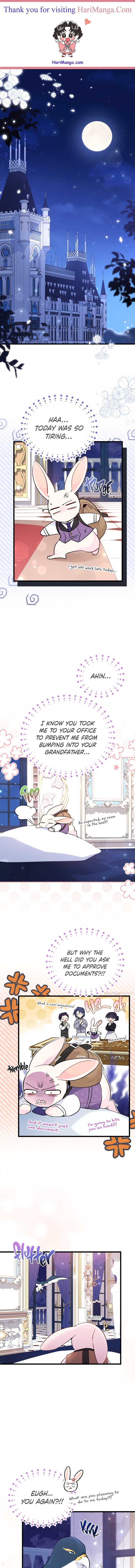 The Symbiotic Relationship Between the Rabbit and the Black Panther Chapter 57 44 0
