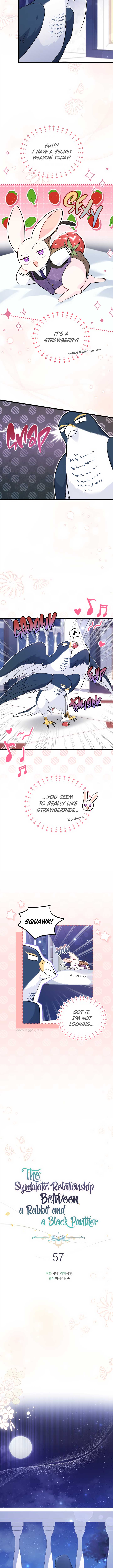 The Symbiotic Relationship Between the Rabbit and the Black Panther Chapter 57 45 1