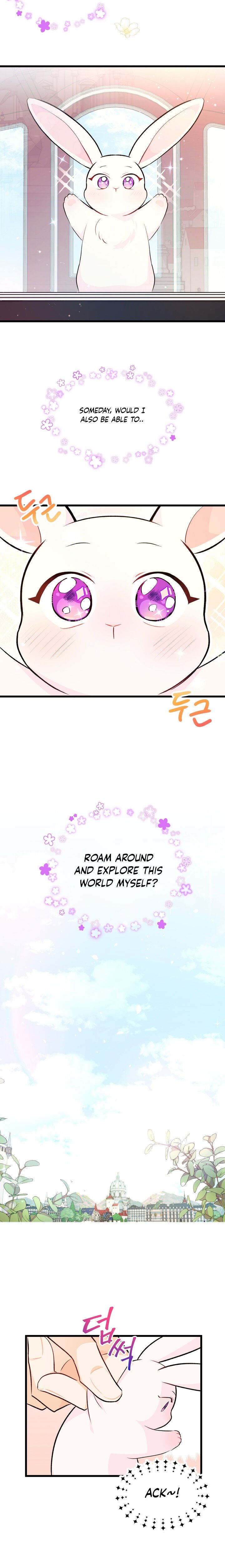 The Symbiotic Relationship Between the Rabbit and the Black Panther Chapter 6 83 16
