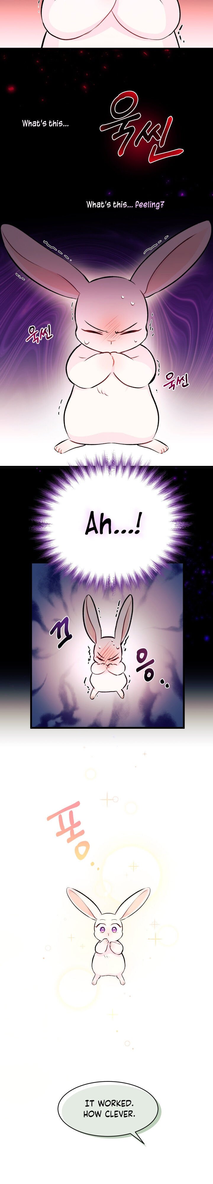 The Symbiotic Relationship Between the Rabbit and the Black Panther Chapter 6 73 6