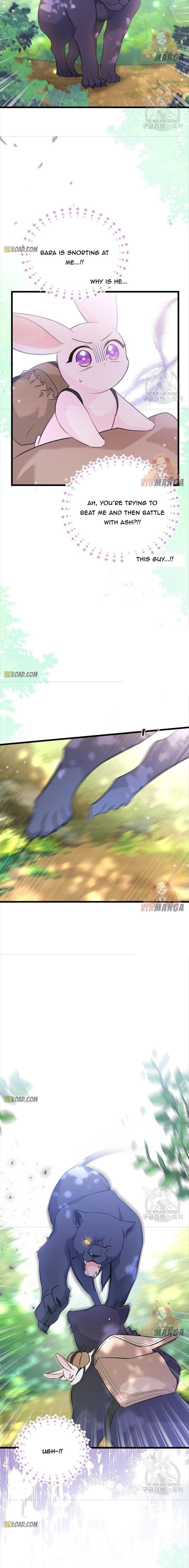 The Symbiotic Relationship Between the Rabbit and the Black Panther Chapter 61 74 2 X003 Y001