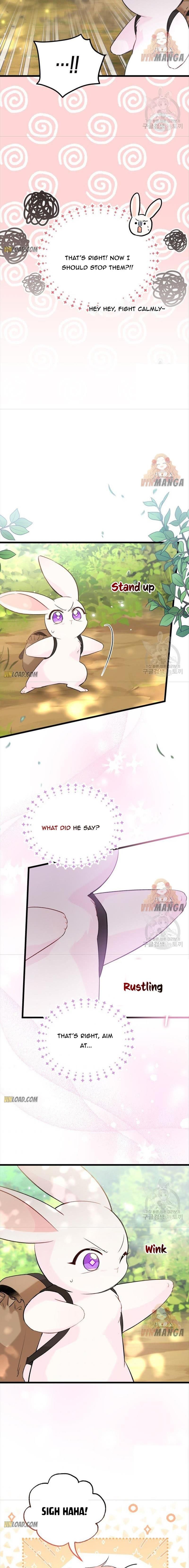 The Symbiotic Relationship Between the Rabbit and the Black Panther Chapter 61 78 3 X003 Y001