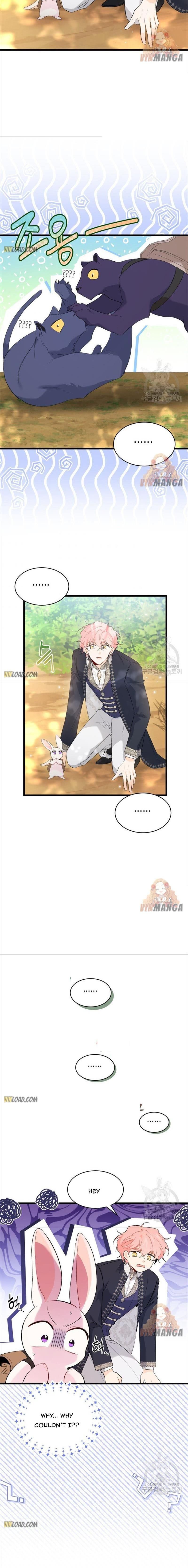 The Symbiotic Relationship Between the Rabbit and the Black Panther Chapter 61 82 4 X003 Y001