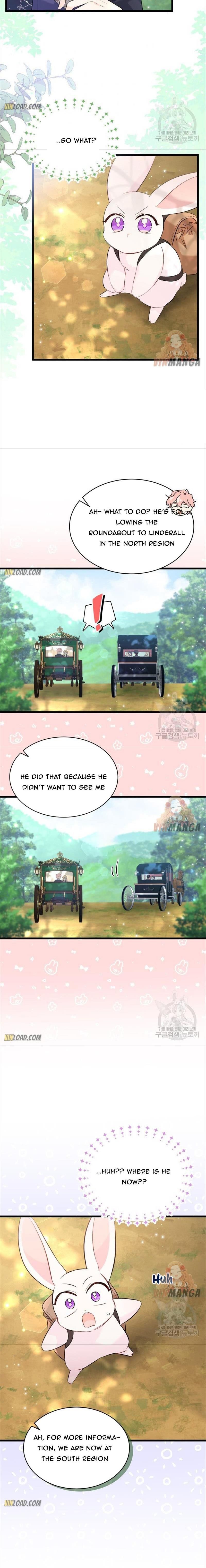 The Symbiotic Relationship Between the Rabbit and the Black Panther Chapter 61 86 5 X003 Y001