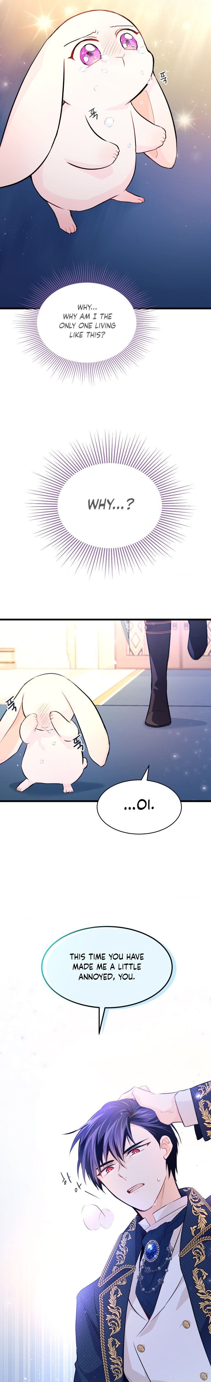 The Symbiotic Relationship Between the Rabbit and the Black Panther Chapter 7 110 16