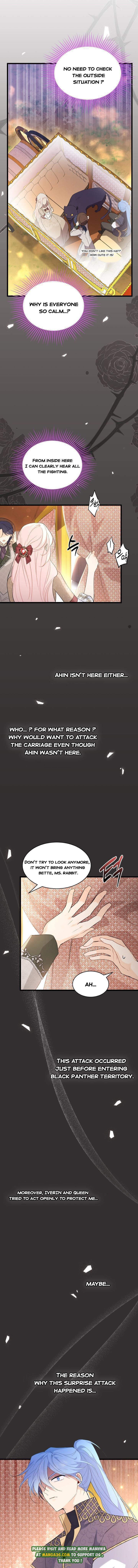 The Symbiotic Relationship Between the Rabbit and the Black Panther Chapter 80 34 3