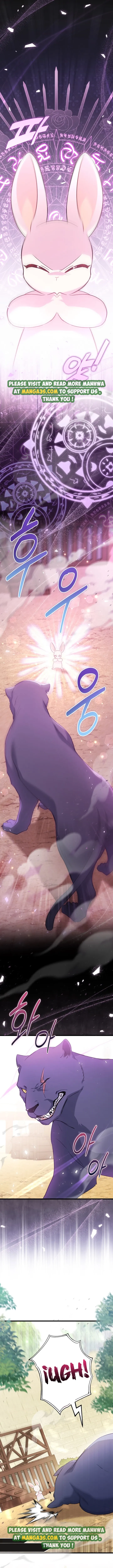 The Symbiotic Relationship Between the Rabbit and the Black Panther Chapter 83 29 1