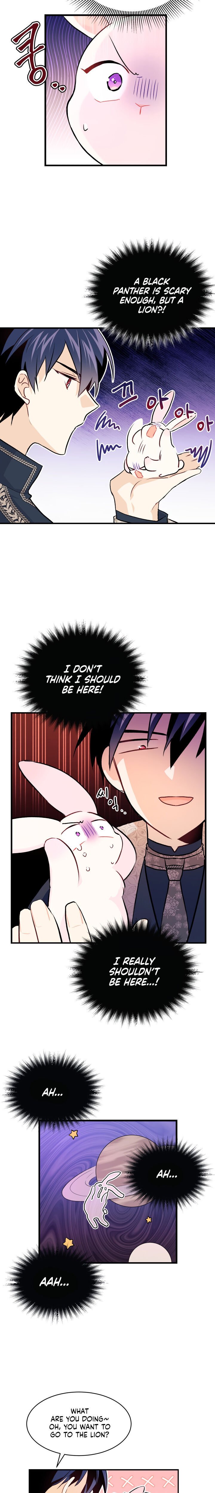 The Symbiotic Relationship Between the Rabbit and the Black Panther Chapter 9 94 9