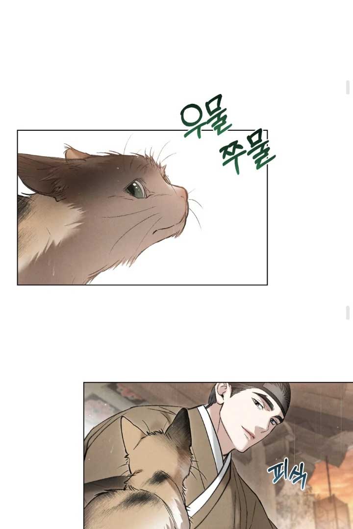 ch 63 49
