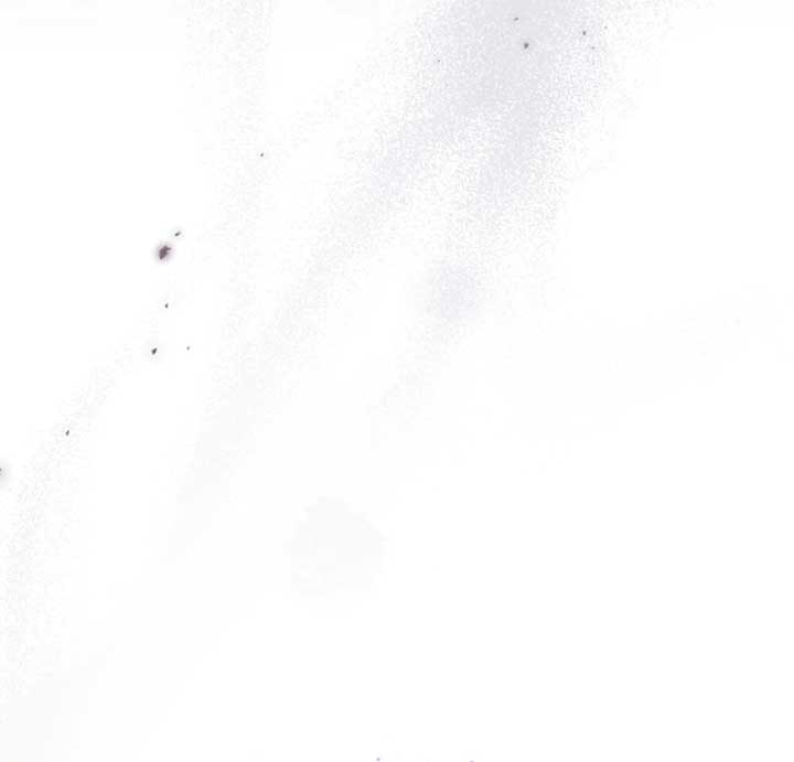 024