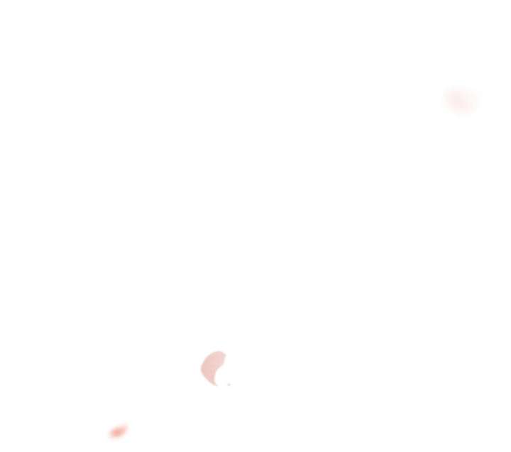 123