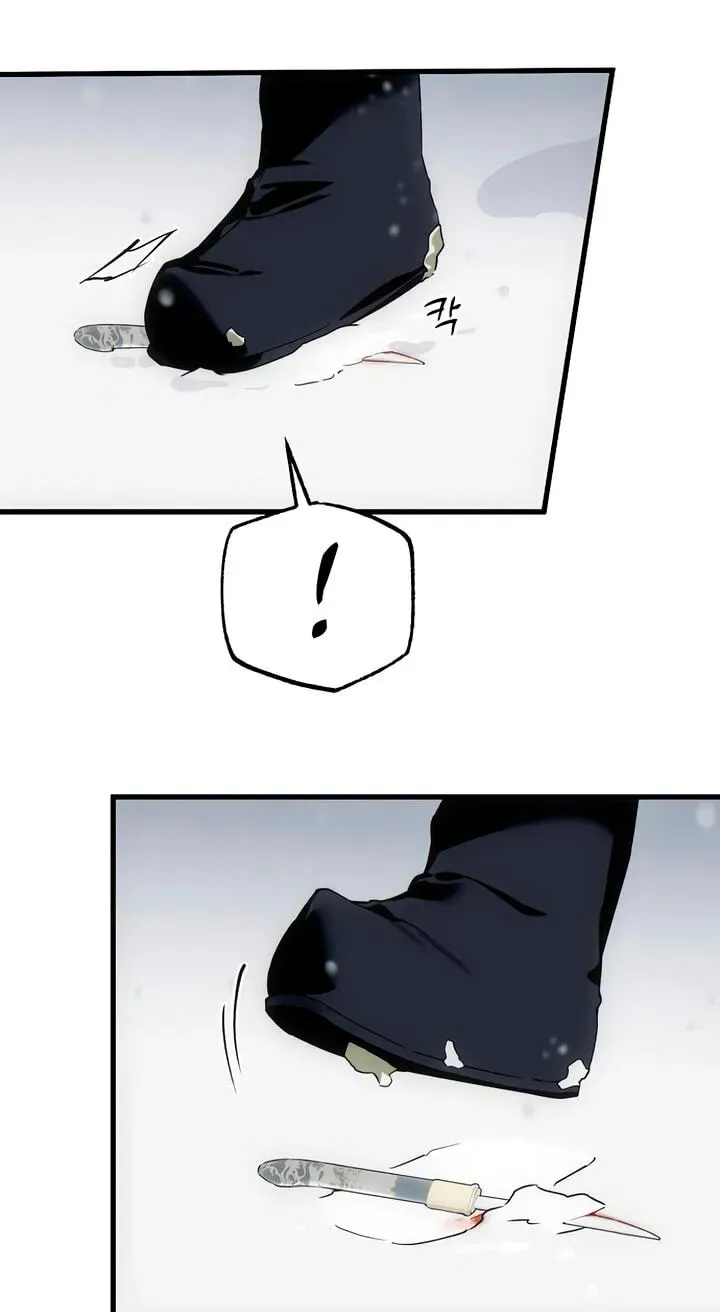 cf072ad756bd