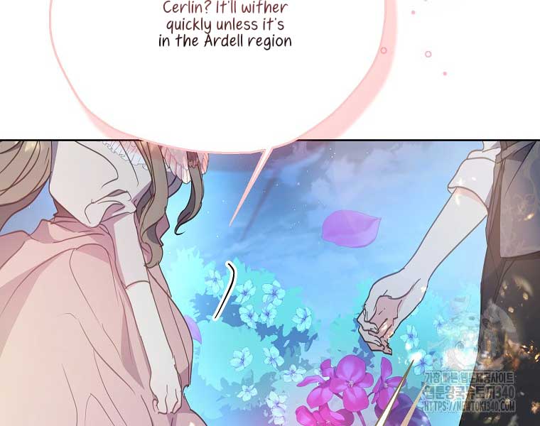 Your Majesty, Please Don’t Kill Me Again Chapter 128 386 88