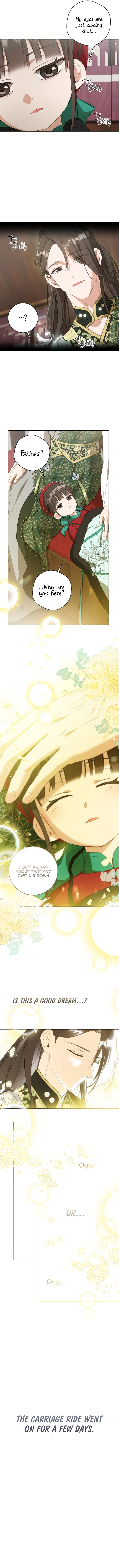 I became the Despised Granddaughter of the Powerful Martial Arts Family Chapter 28 50 6