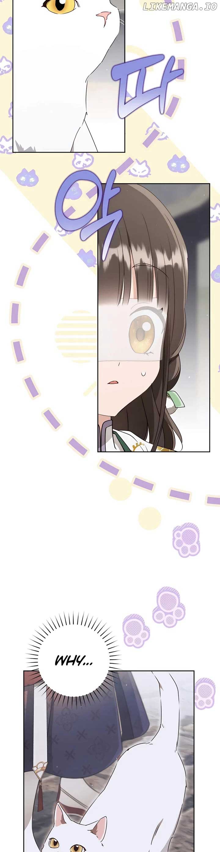 I became the Despised Granddaughter of the Powerful Martial Arts Family Chapter 85 151 ch 85 3