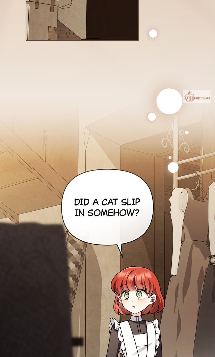 ch 142 19