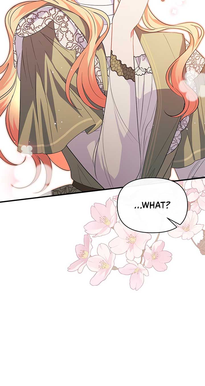There Are Too Many Second Male Leads! Chapter 13 386 064