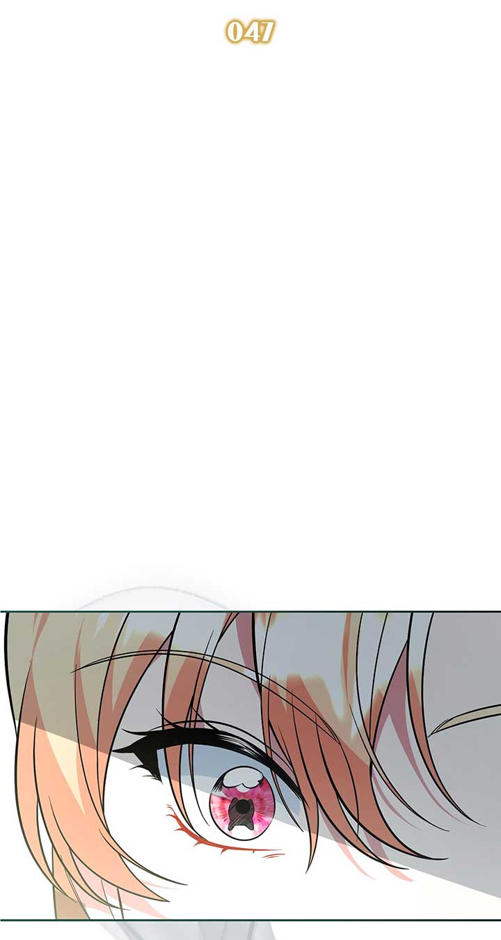 There Are Too Many Second Male Leads! Chapter 47 305 25