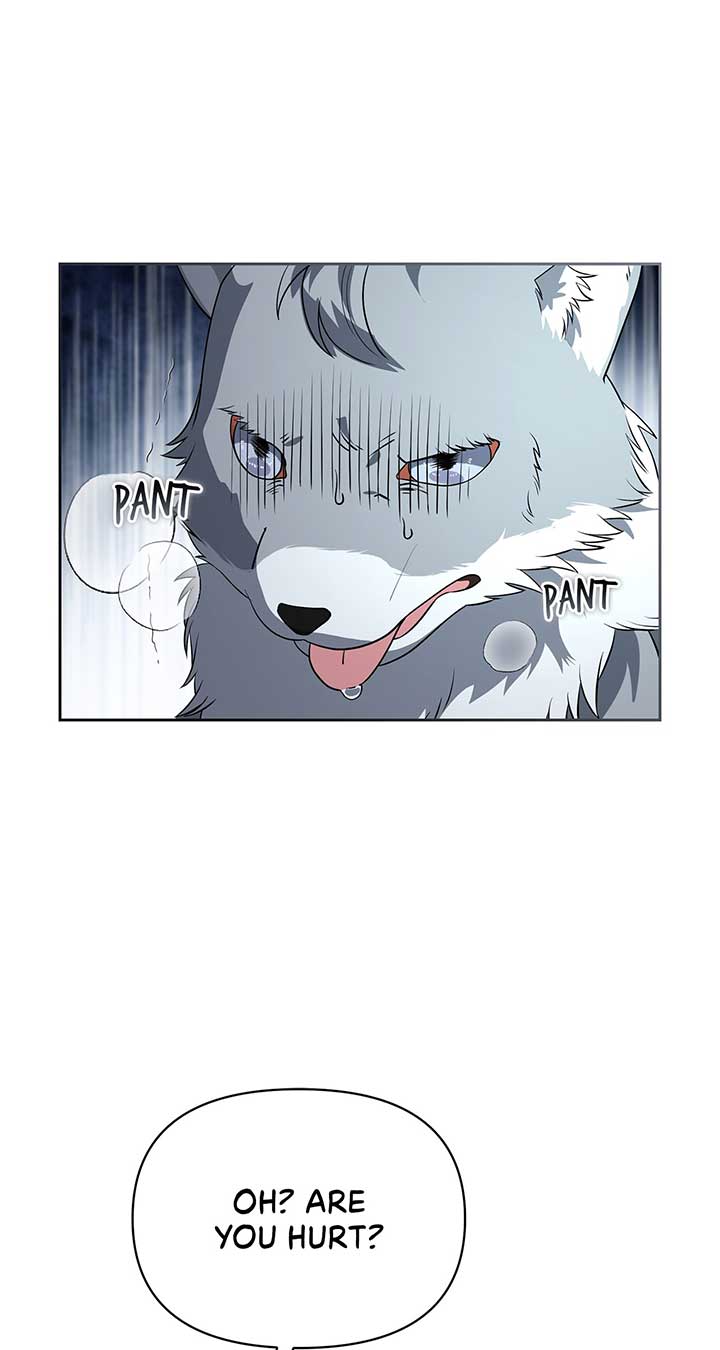 There Are Too Many Second Male Leads! Chapter 47 311 31
