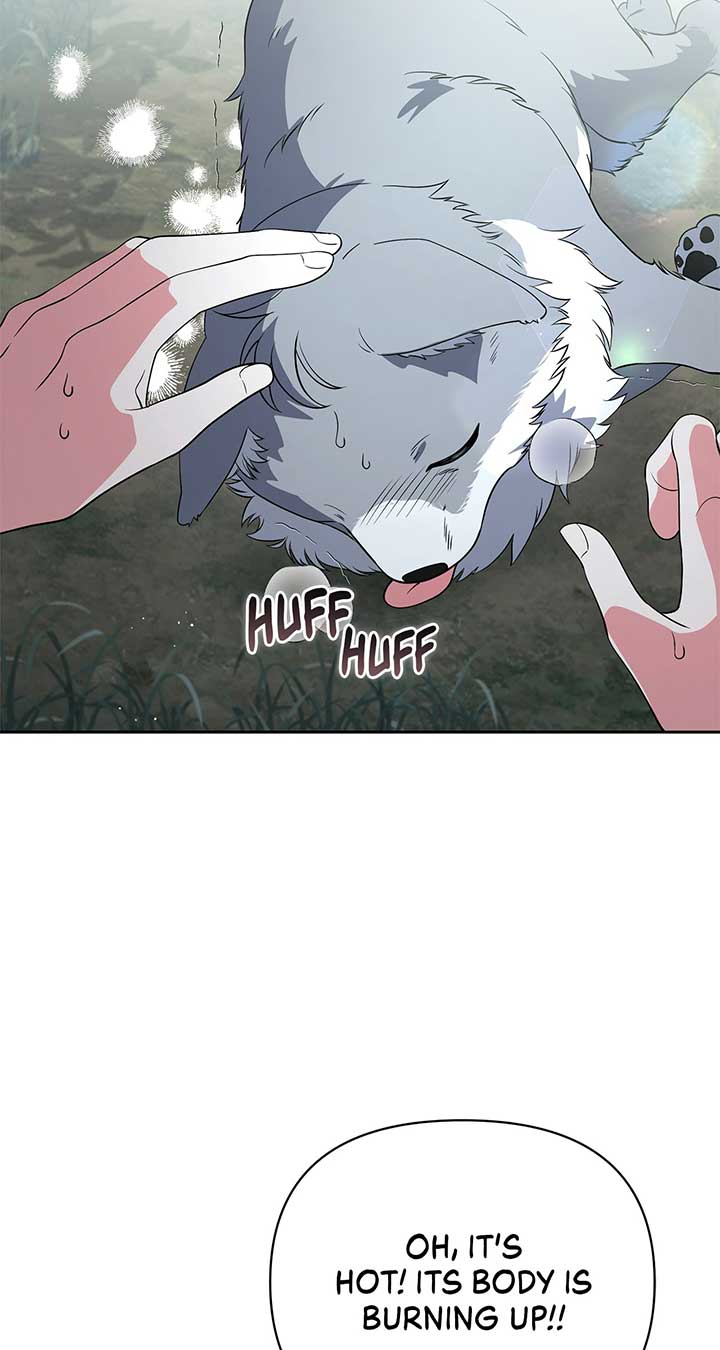 There Are Too Many Second Male Leads! Chapter 47 317 37