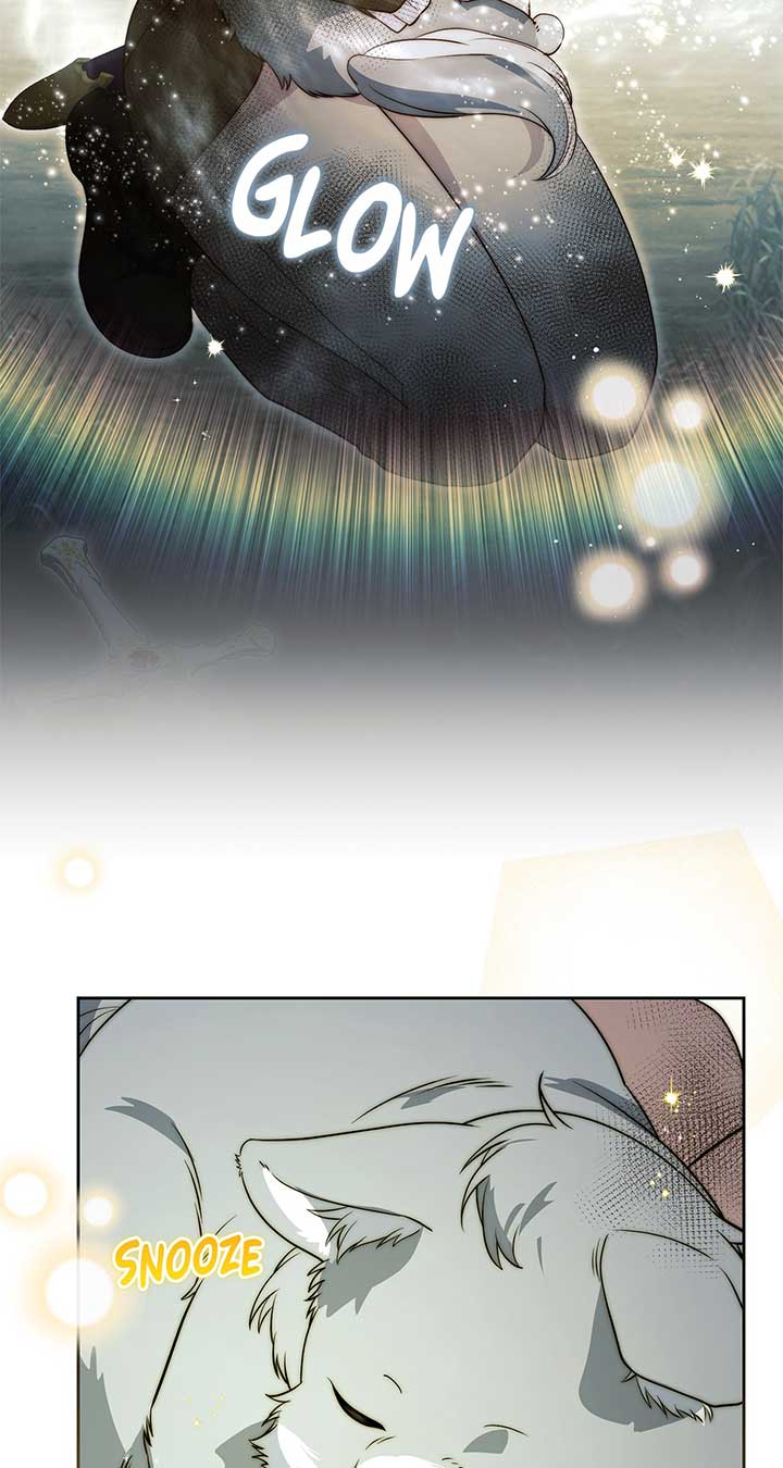 There Are Too Many Second Male Leads! Chapter 47 327 47