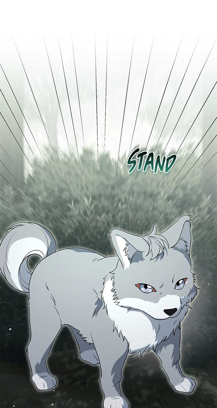 There Are Too Many Second Male Leads! Chapter 47 333 53