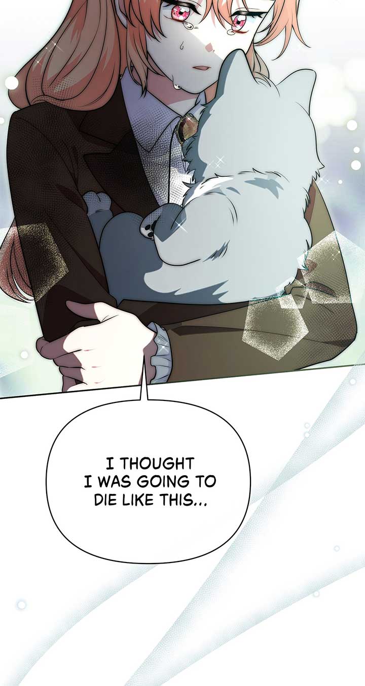 There Are Too Many Second Male Leads! Chapter 47 345 65