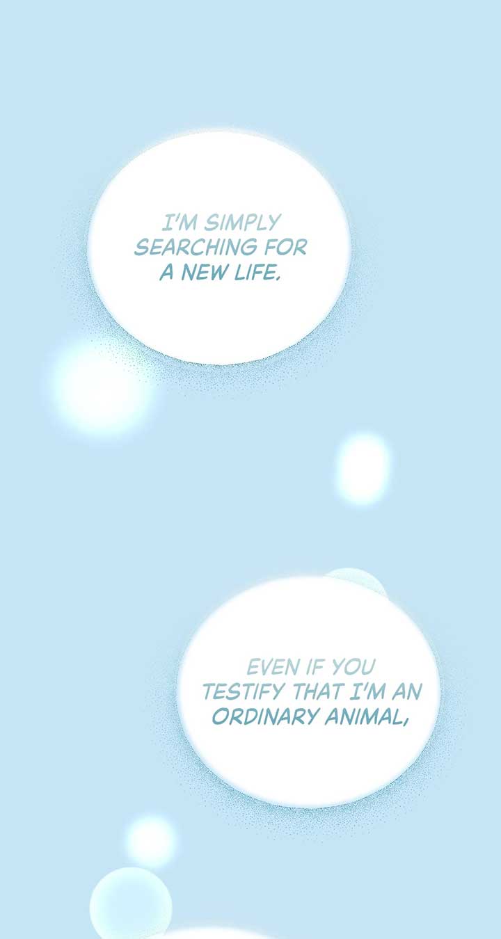 There Are Too Many Second Male Leads! Chapter 52 472 084