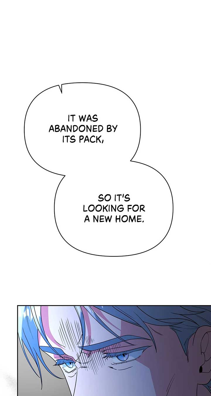 There Are Too Many Second Male Leads! Chapter 52 479 091