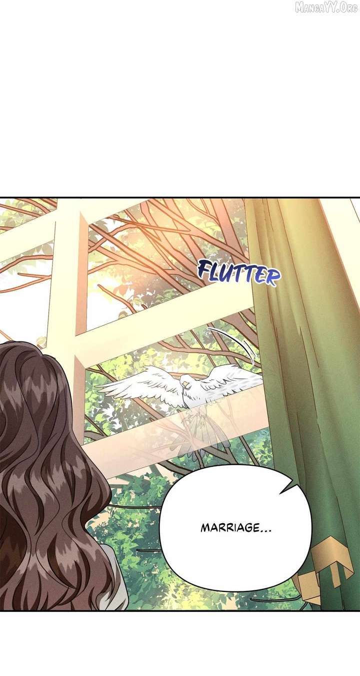 ch 75 23