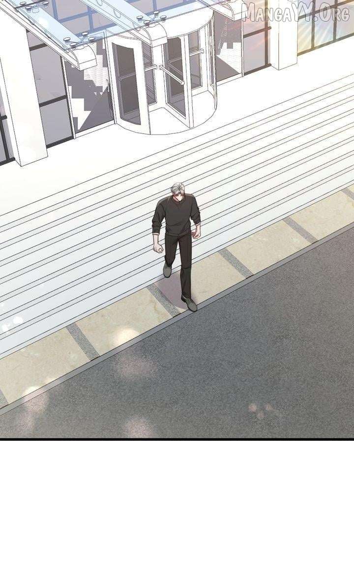 The Billionaire’s Replacement Wife Chapter 66 240 029