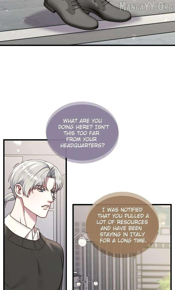 The Billionaire’s Replacement Wife Chapter 66 243 032