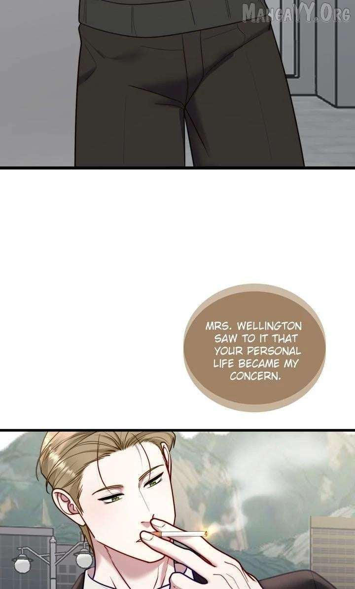 The Billionaire’s Replacement Wife Chapter 66 246 035