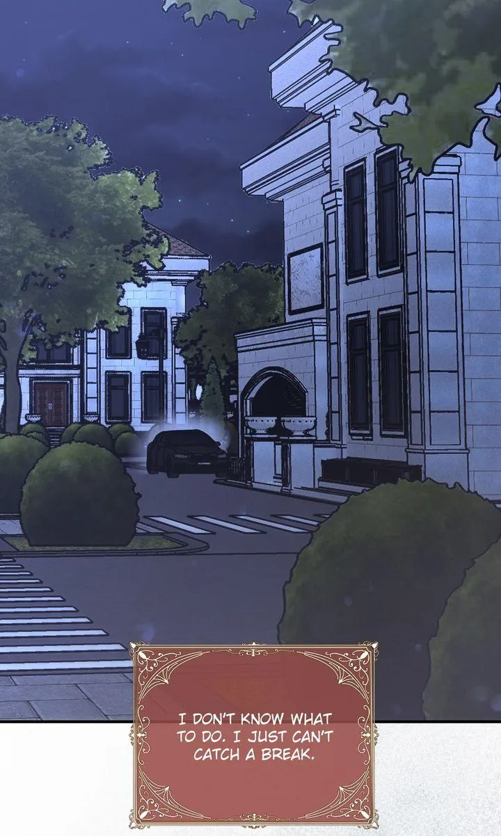 The Billionaire's Replacement Wife capítulo 91 página 22