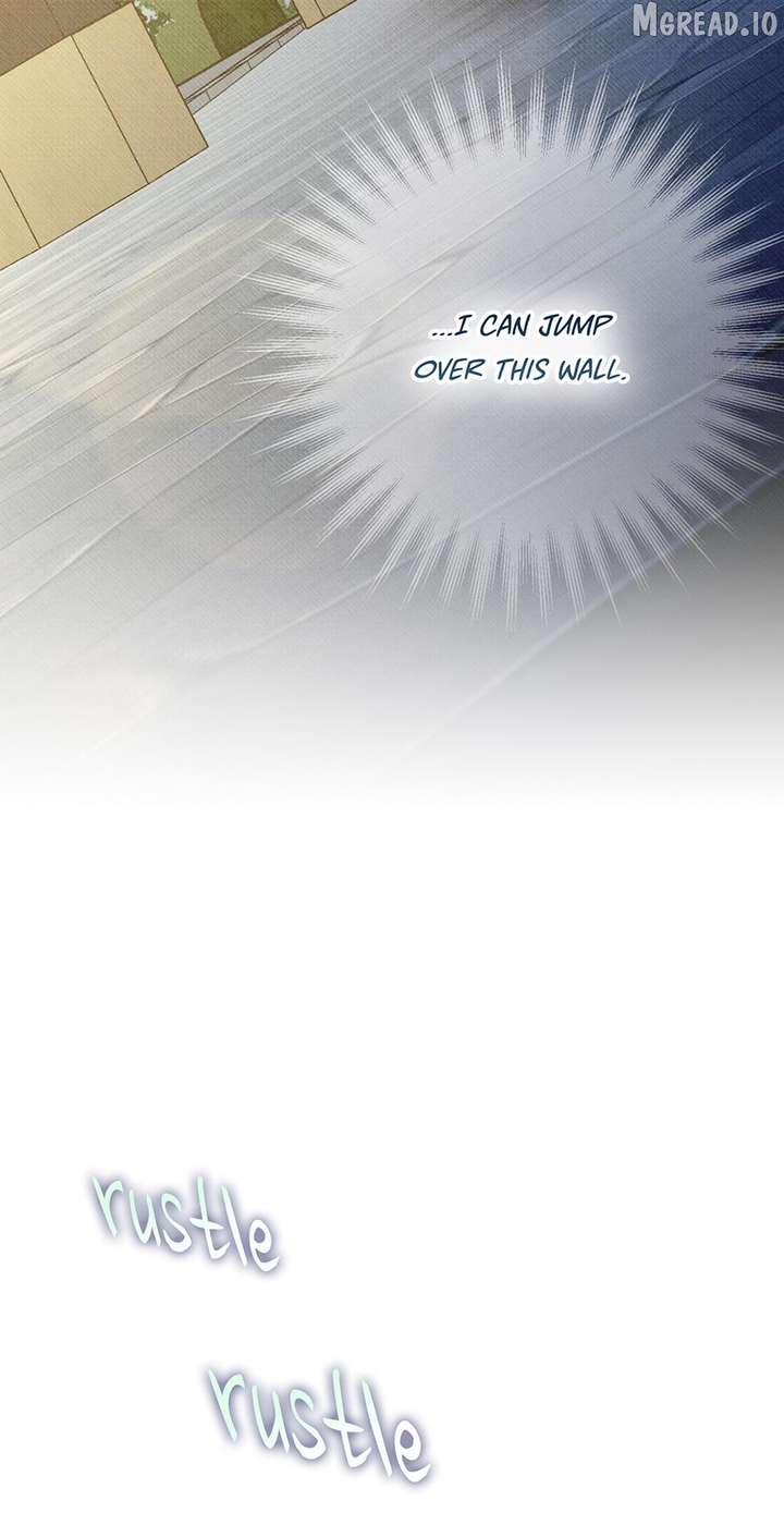 ch 62 74