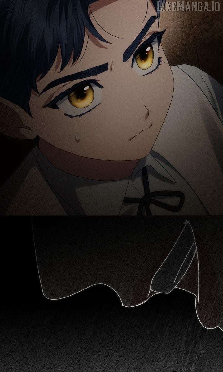 81