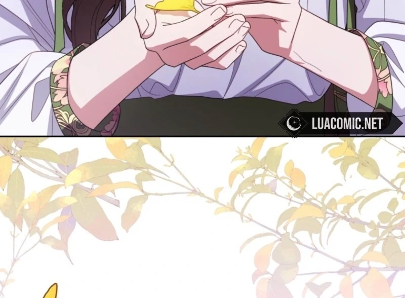 ch 100 102