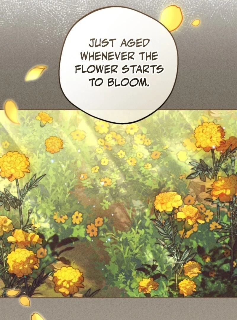 ch 100 105
