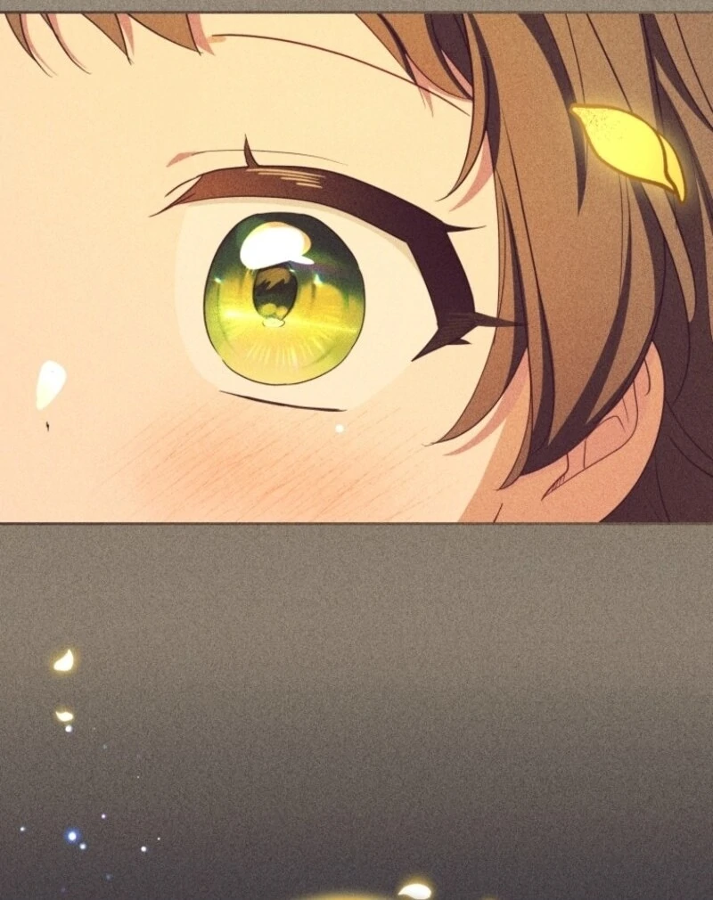 ch 100 114