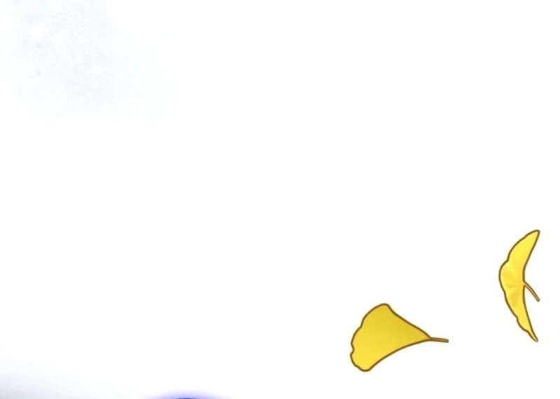ch 100 80