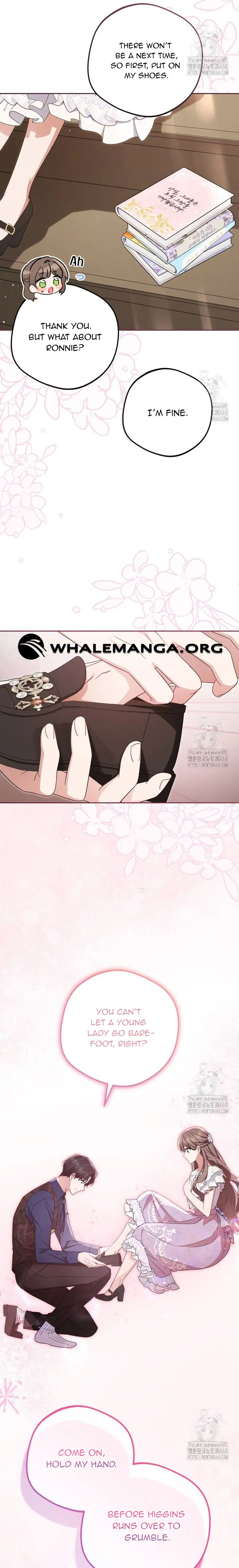 ch 85 13