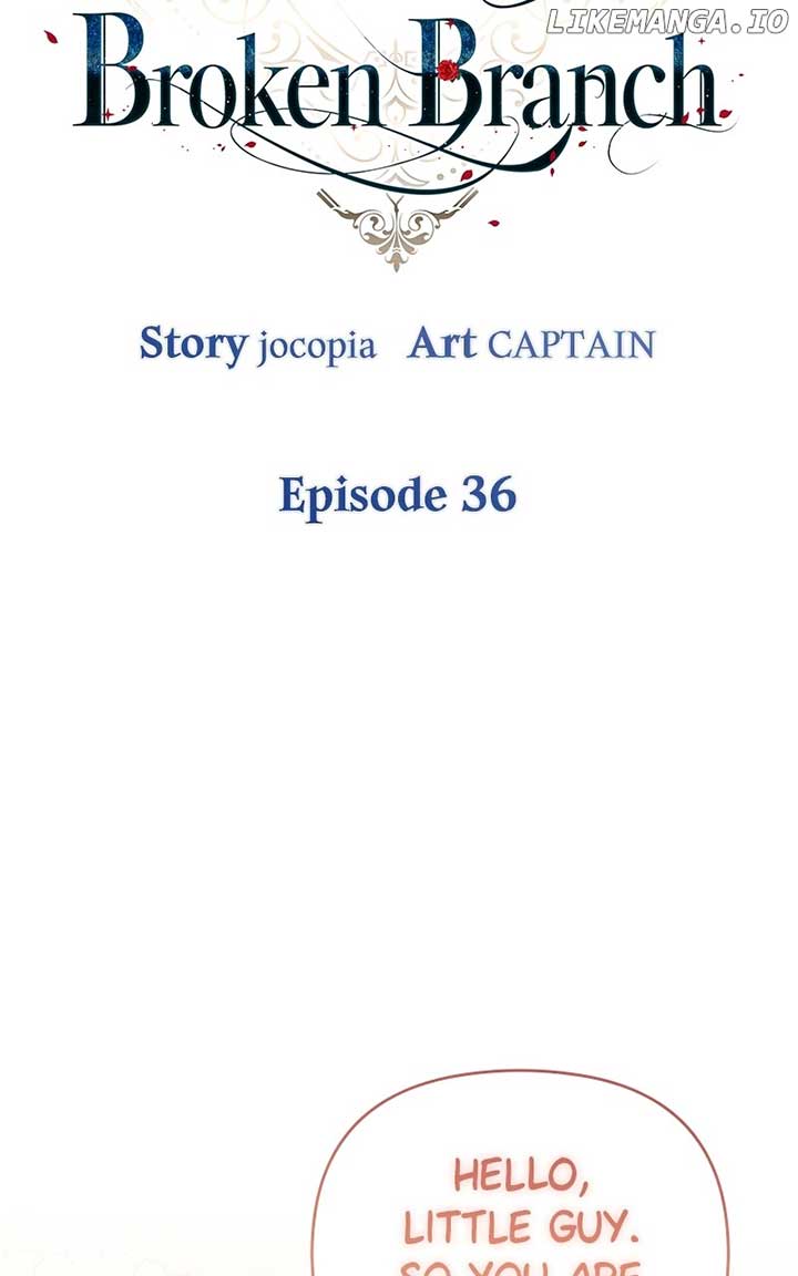 ch 36 50