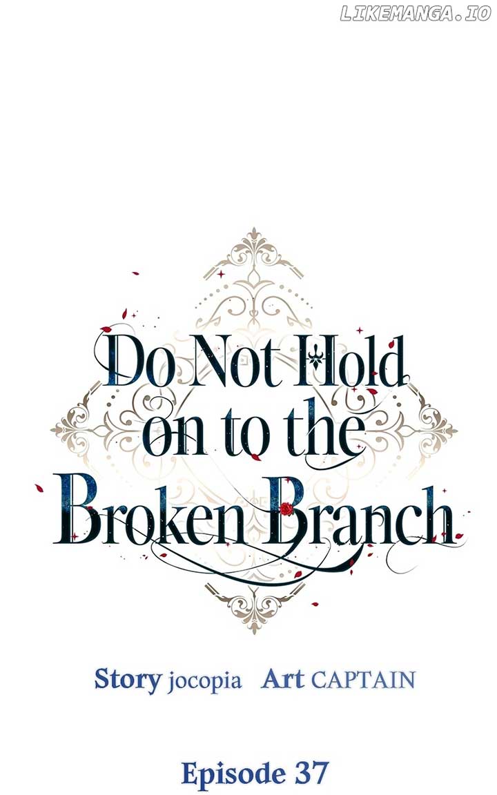 Don’t Grab the Broken Branch Chapter 37 305 ch 37 13
