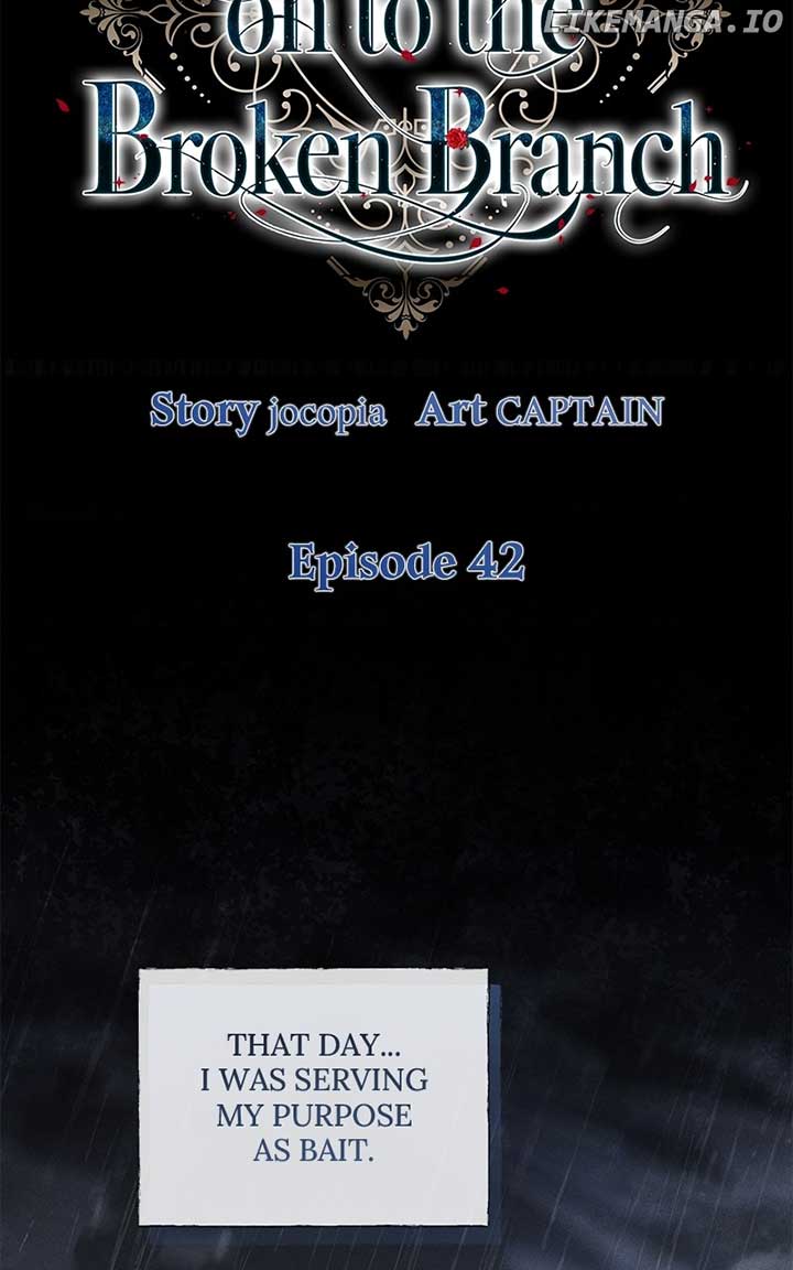 ch 42 29