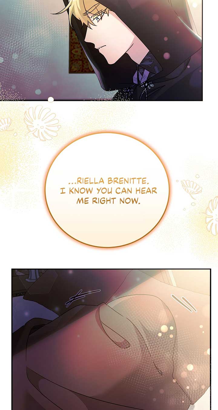81