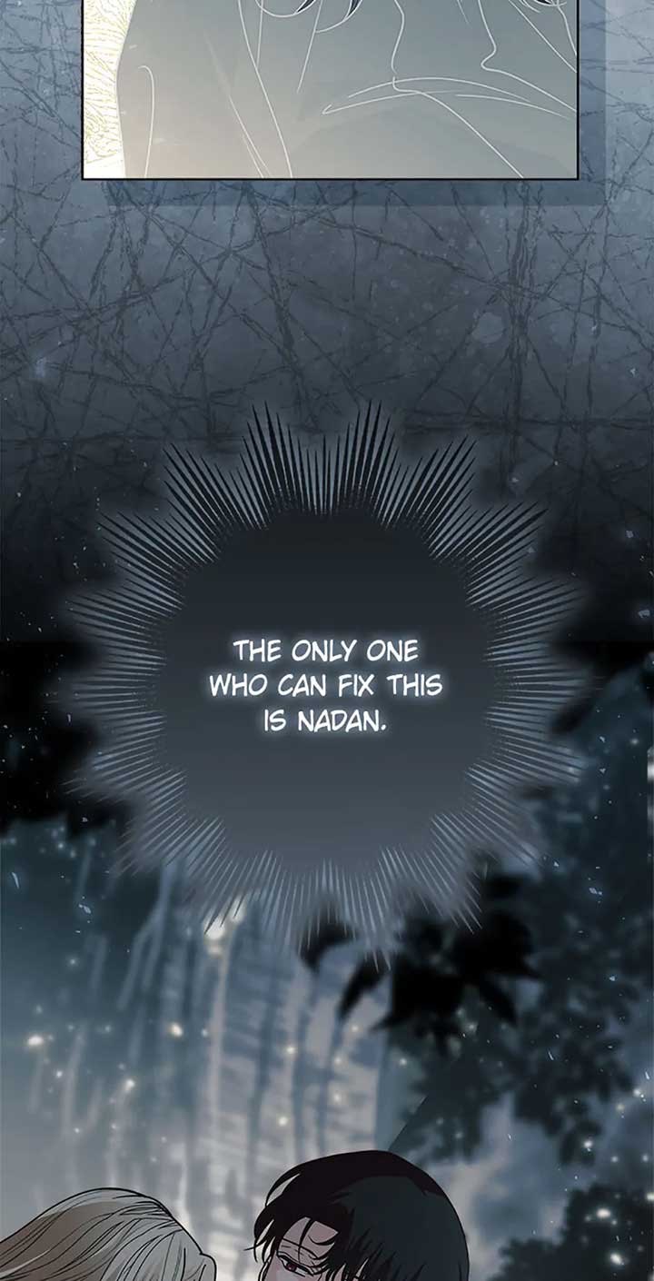 81