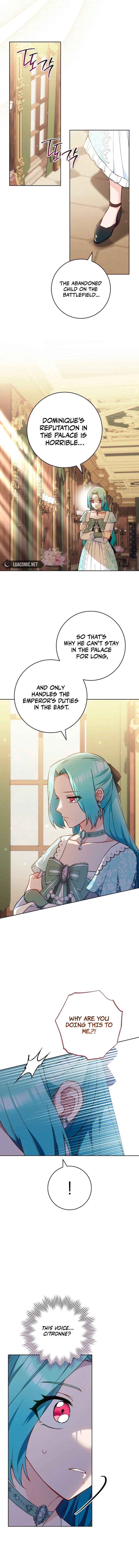 Royal Shop Of Young Lady Chapter 159 73 14